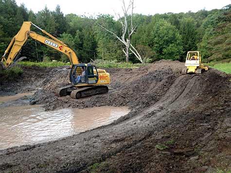 Making a Pond